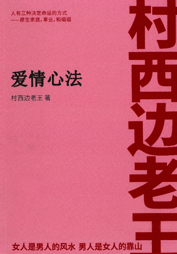 村西边老王电子书8本