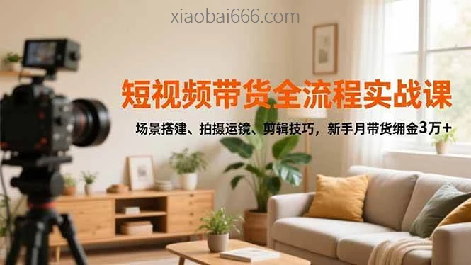 短视频带货全流程实战课