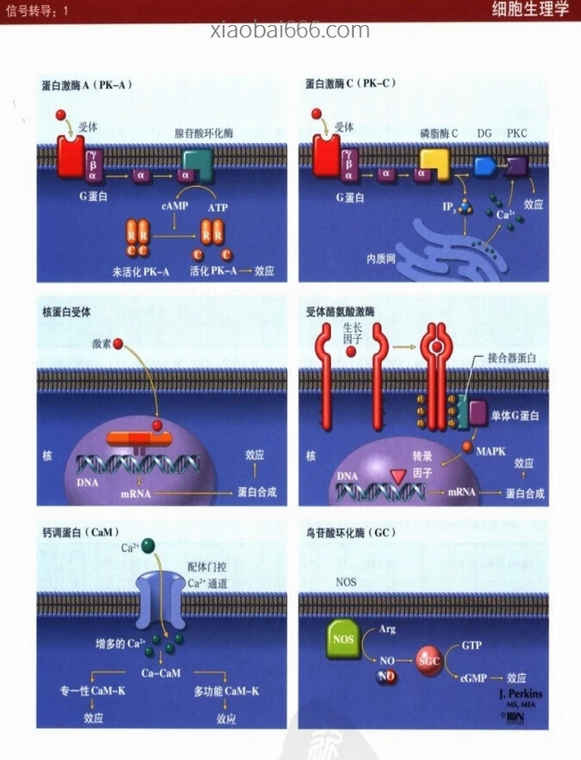 奈特图谱系列（全14册）