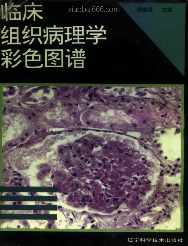 临床组织病理学彩色图谱 合集4本