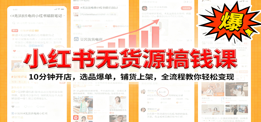 小红书电商课，小红书无货源卖货项目