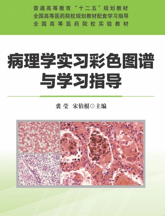 病理学实习彩色图谱与学习指导